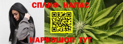 крисы Гуково