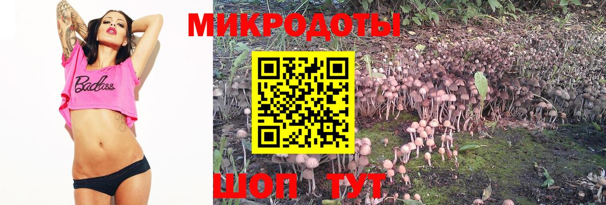 Гусь-Хрустальный  Галлюциногенные грибы Cubensis  Вход с VPN  Псилоцибиновые грибы Magic Shrooms 