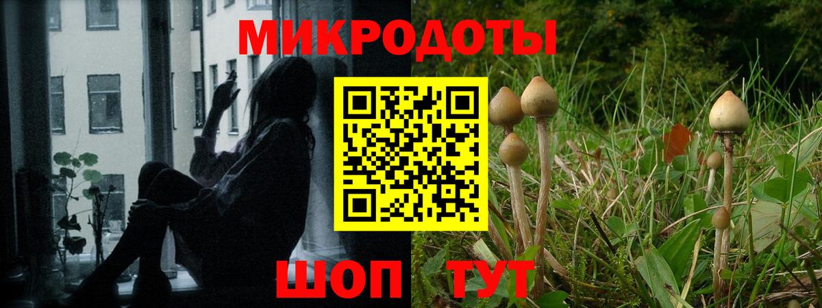 Галлюциногенные грибы Psilocybine cubensis Гусь-Хрустальный
